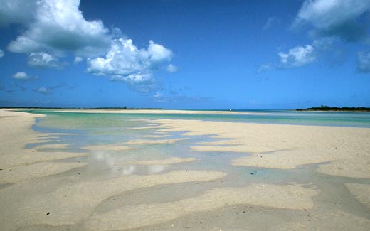 cat island beach