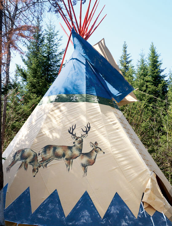 tipi