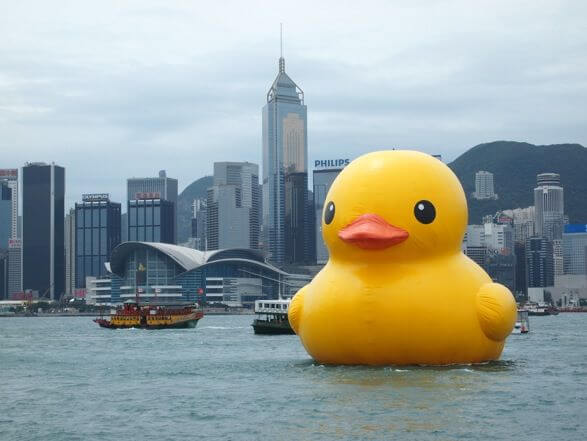 duck_hong kong 1