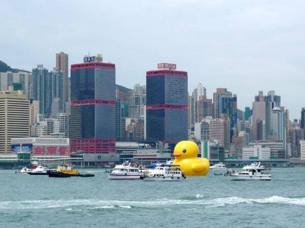 duck_hong kong 2