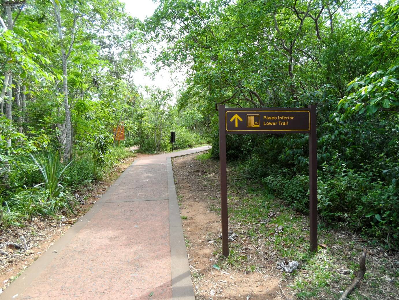 lower trail 1