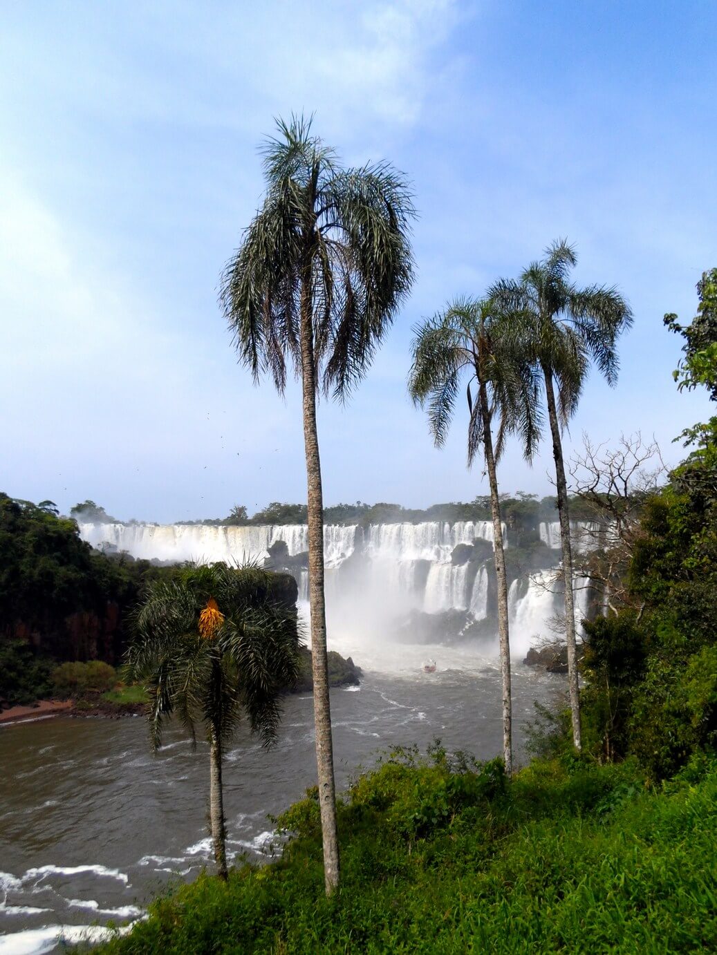 iguazu falls 1