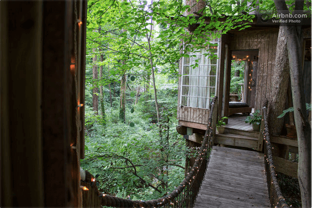 treehouse4