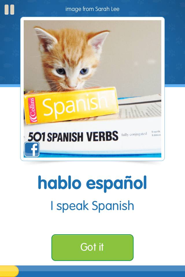 hablo espanol
