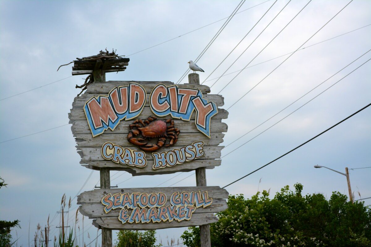mud city crab house