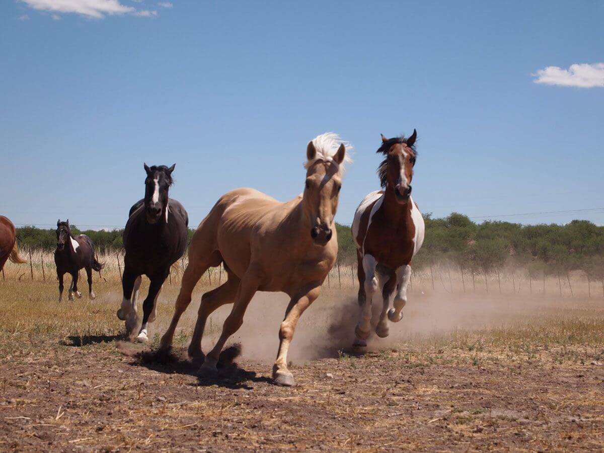 National Geographic Photo Camp Arizona, 2014