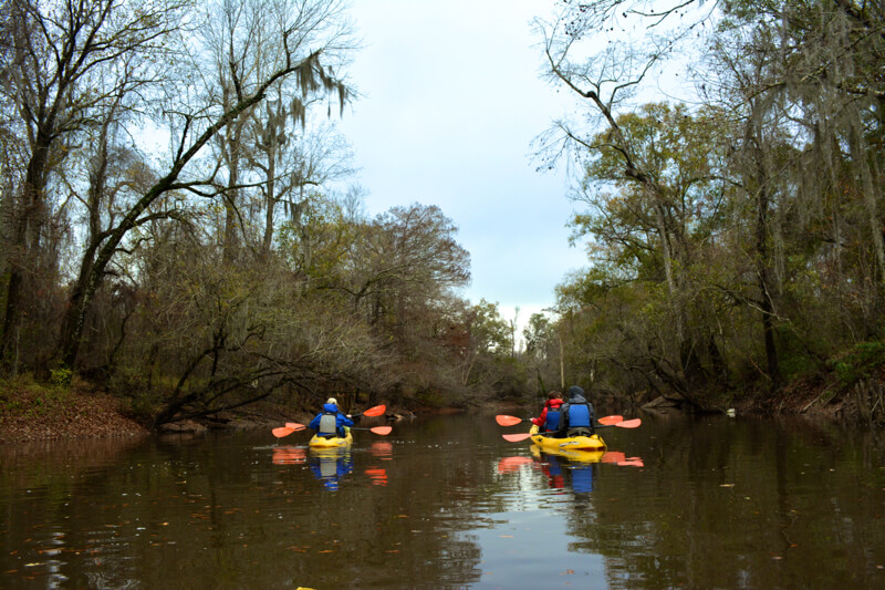 Swamp kayaking, NOLA | nycexpeditionist.com
